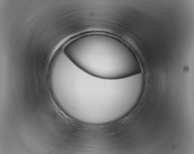 X0000115531068200911061122