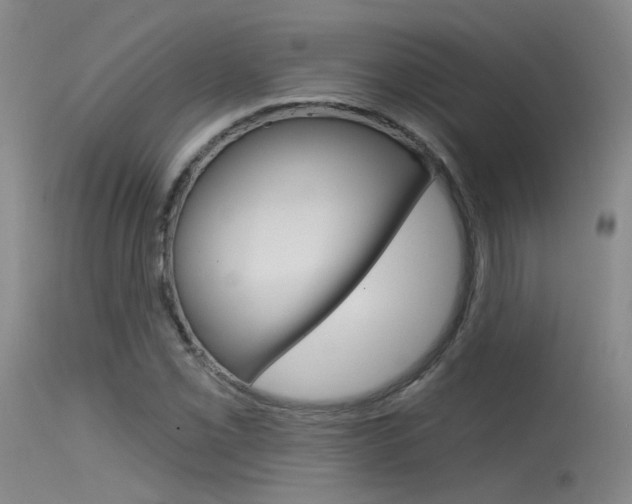X0000115531069200911061122