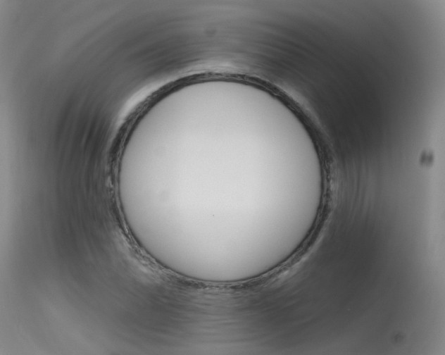 X0000115531070200911061122