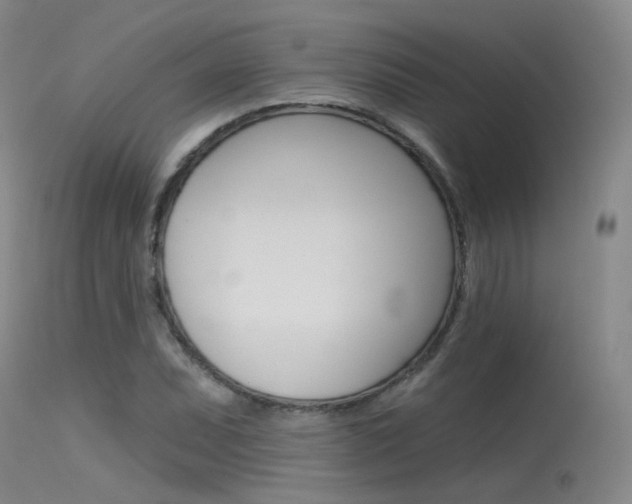 X0000115531071200911061122