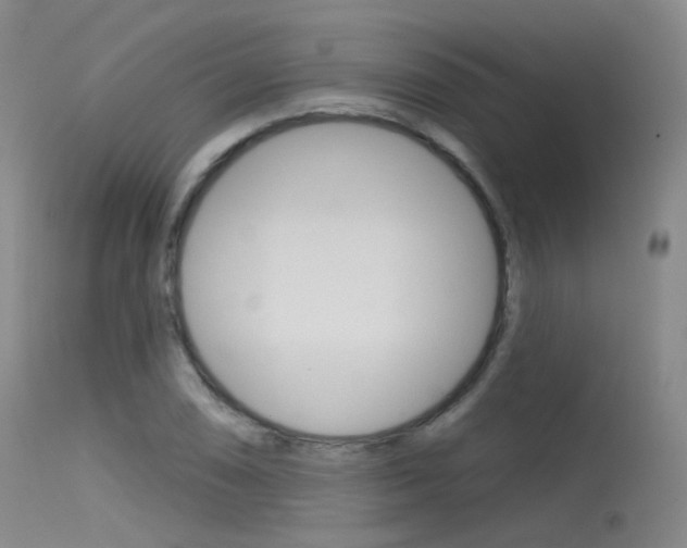 X0000115531074200911061122