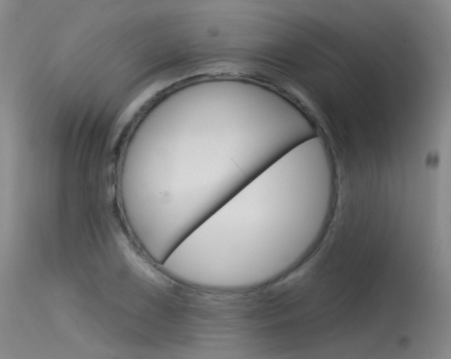 X0000115531075200911061122
