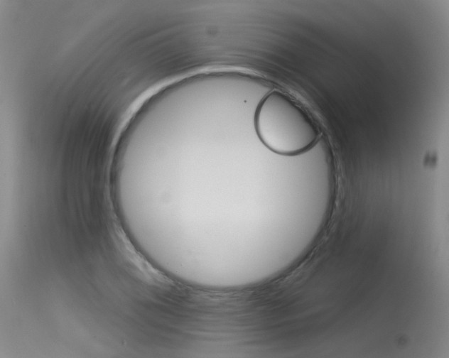 X0000115531076200911061122