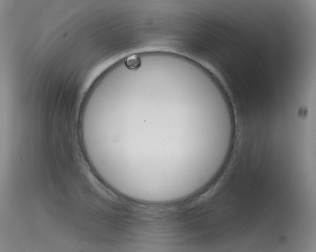 X0000115531077200911061122