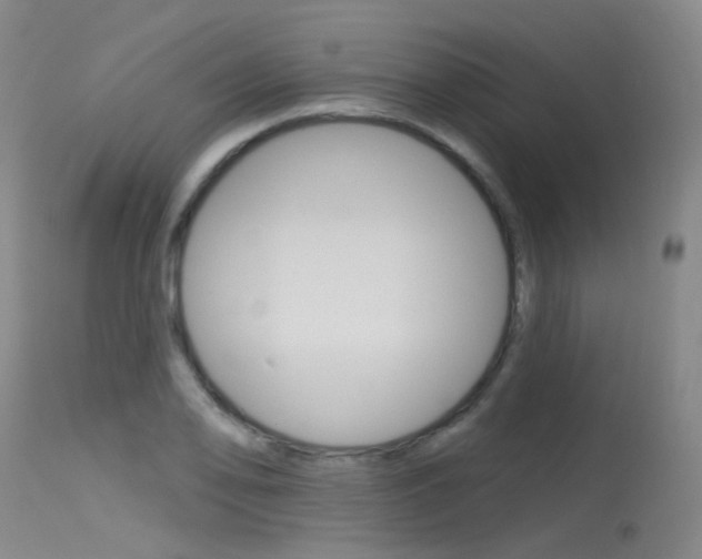 X0000115531078200911061122