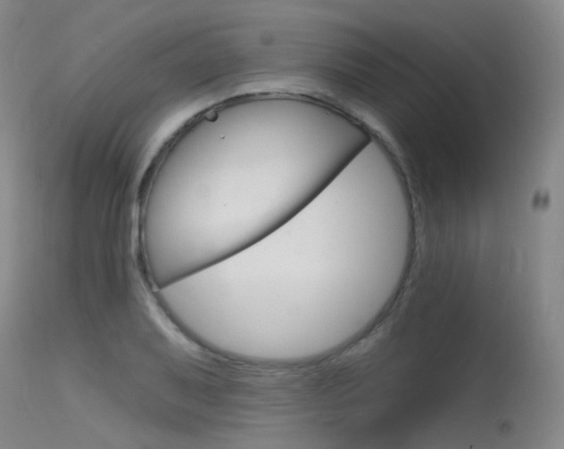 X0000115531079200911061122