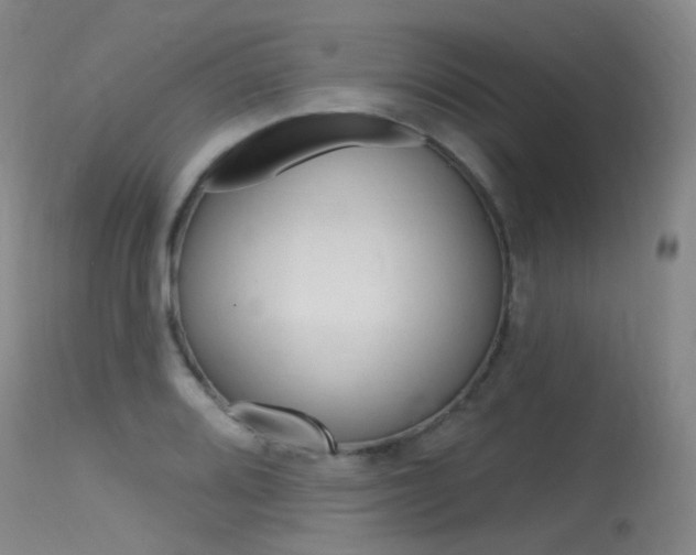 X0000115531080200911061122