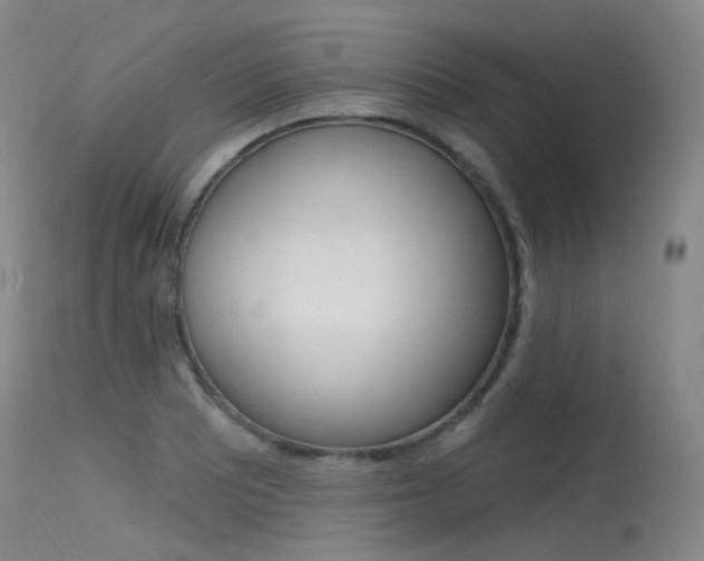 X0000115531081200911061122