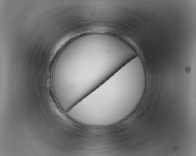 X0000115531083200911061121