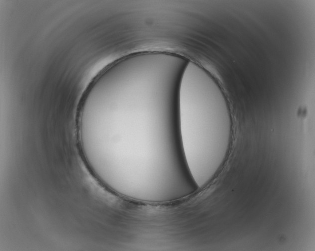 X0000115531087200911061121