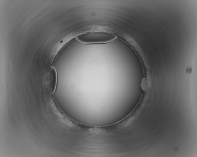 X0000115531089200911061121