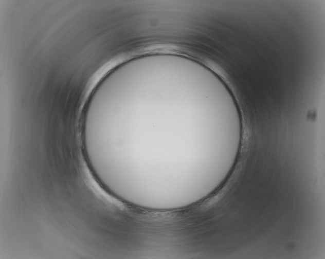 X0000115531090200911061121