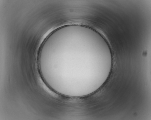 X0000115531091200911061121