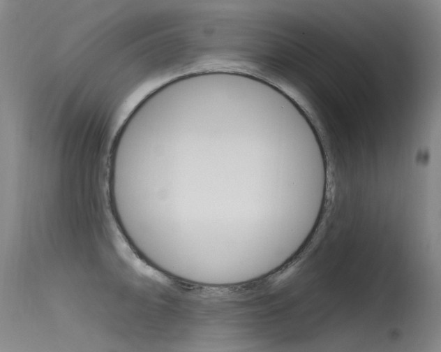 X0000115531094200911061121