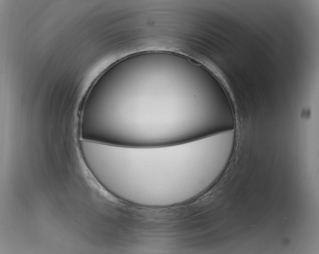 X0000115531096200911061121