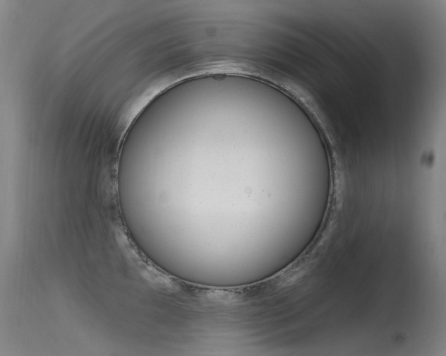 X0000115531097200911061121