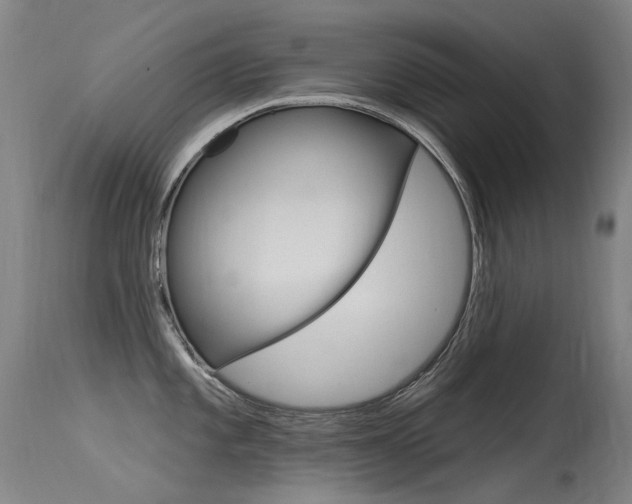 X0000115531101200911061121