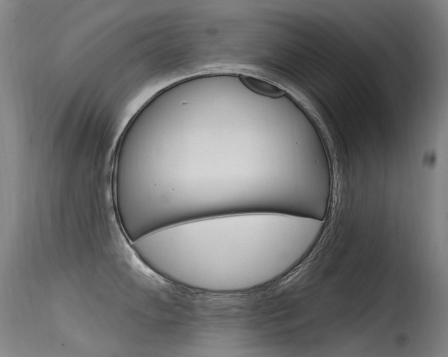 X0000115531102200911061121