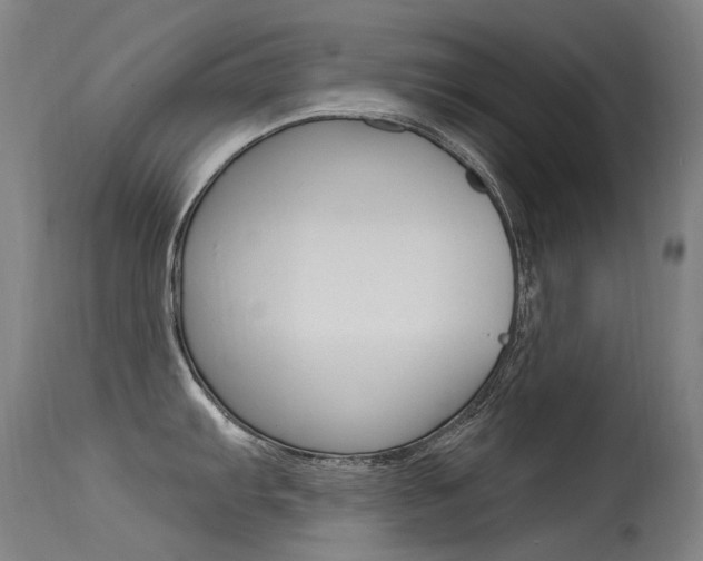 X0000115531103200911061121