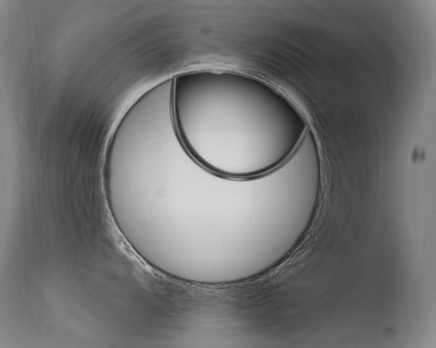 X0000115531104200911061121