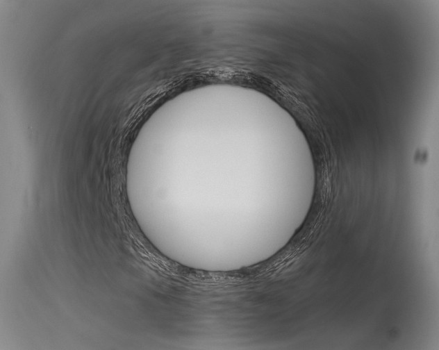 X0000115531105200911061120