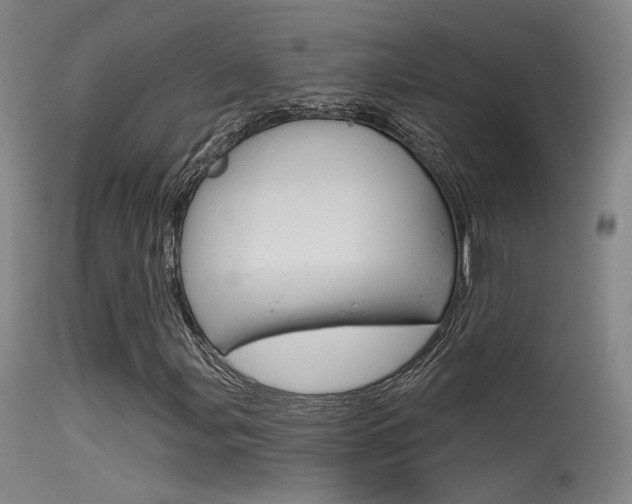 X0000115531107200911061120