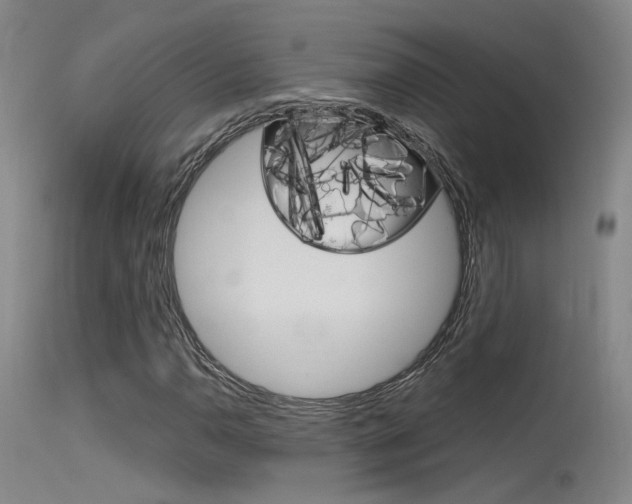 X0000115531110200911061120