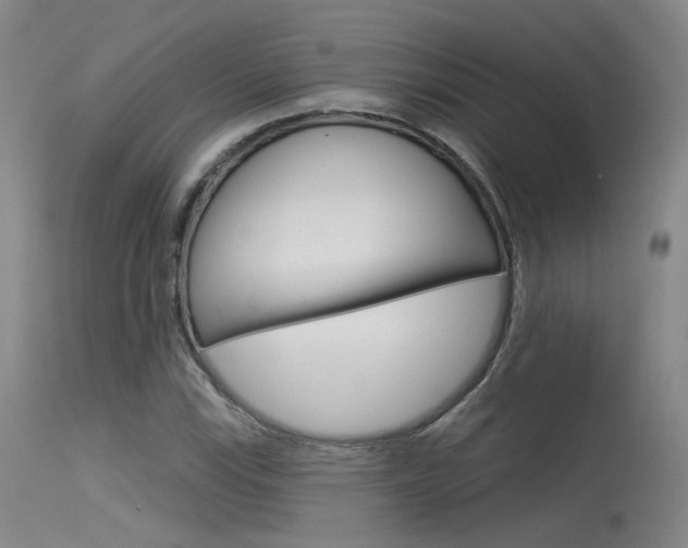 X0000115531115200911061120