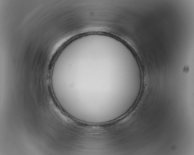 X0000115531119200911061121