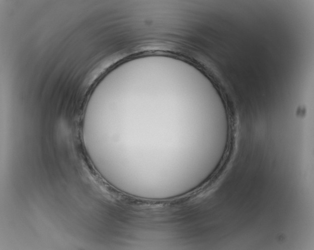 X0000115531121200911061121
