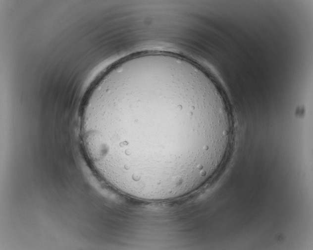 X0000115531125200911061121