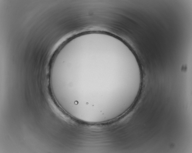 X0000115531126200911061121