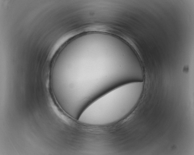 X0000115531131200911061121