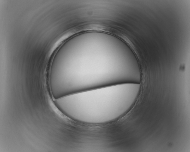 X0000115531139200911061121