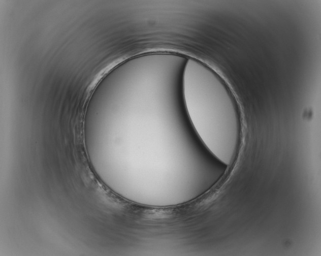 X0000115531145200911061121