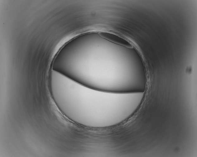 X0000115531146200911061121