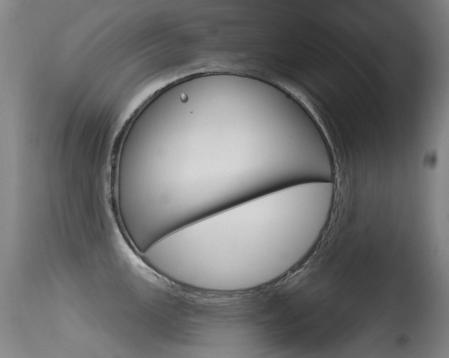 X0000115531147200911061121
