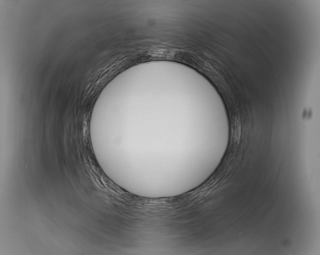X0000115531154200911061120