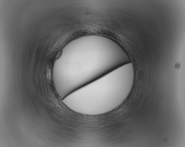 X0000115531155200911061120