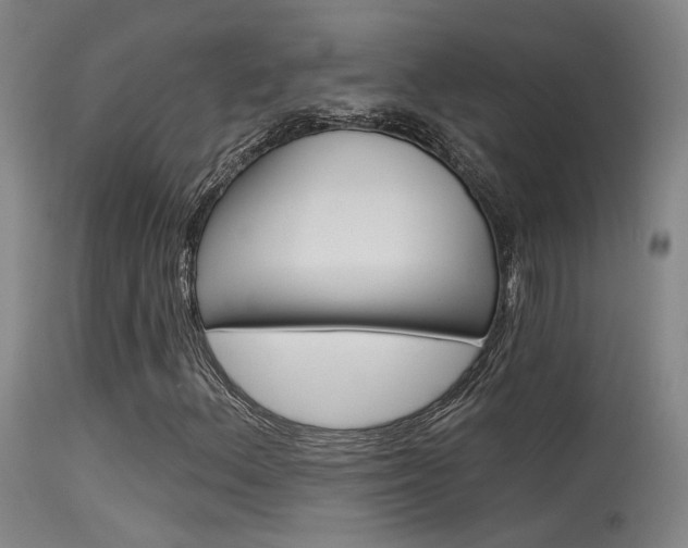 X0000115531156200911061120