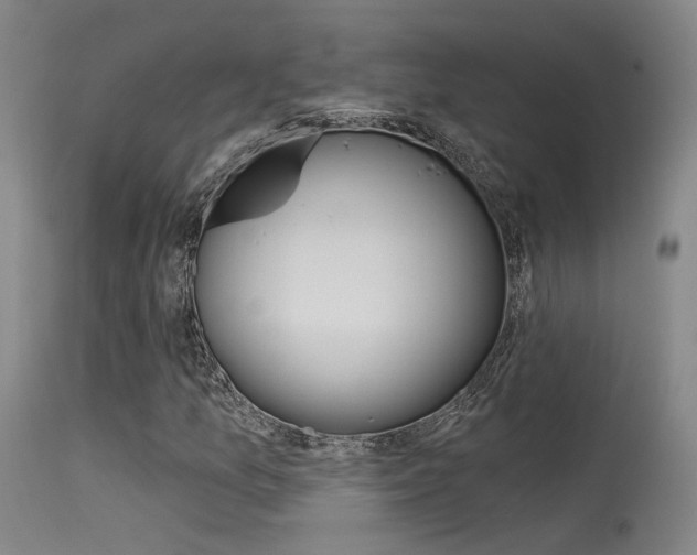 X0000115531157200911061120