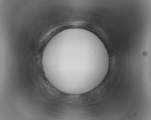 X0000115531158200911061120