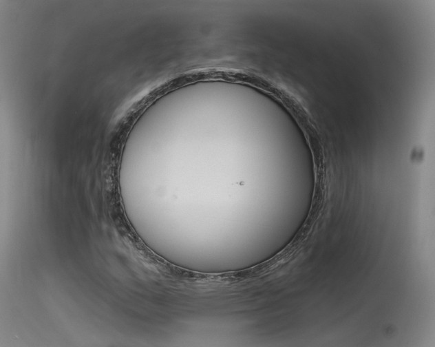 X0000115531159200911061120