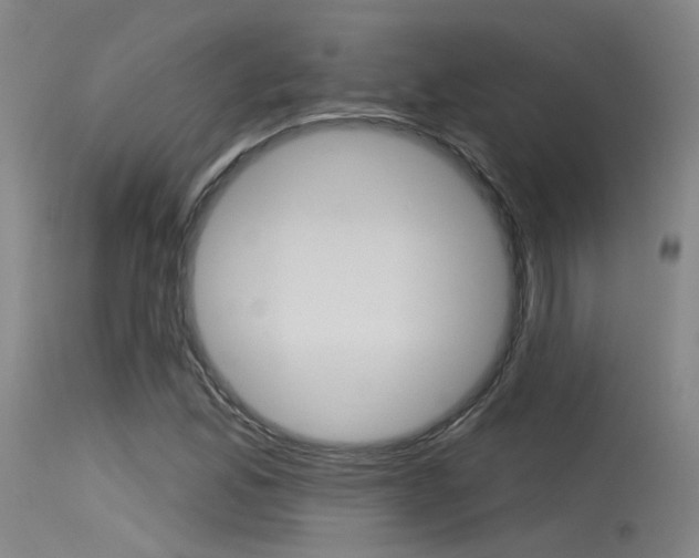 X0000115531165200911061120