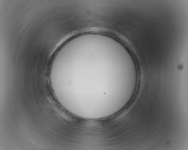 X0000115531170200911061120