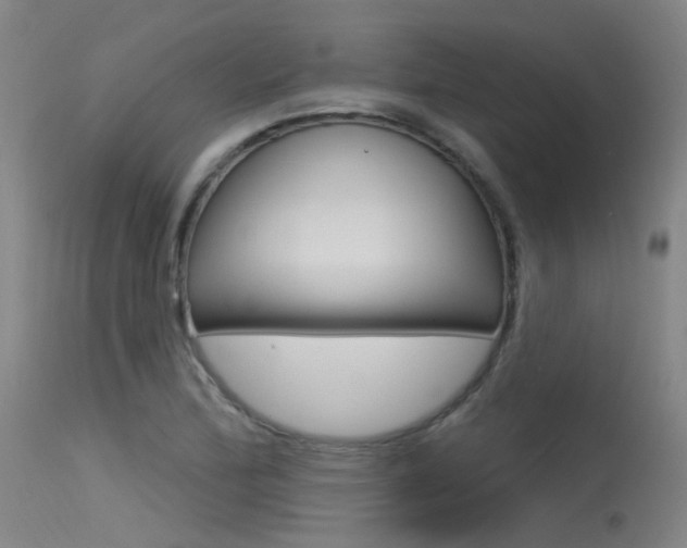 X0000115531172200911061120
