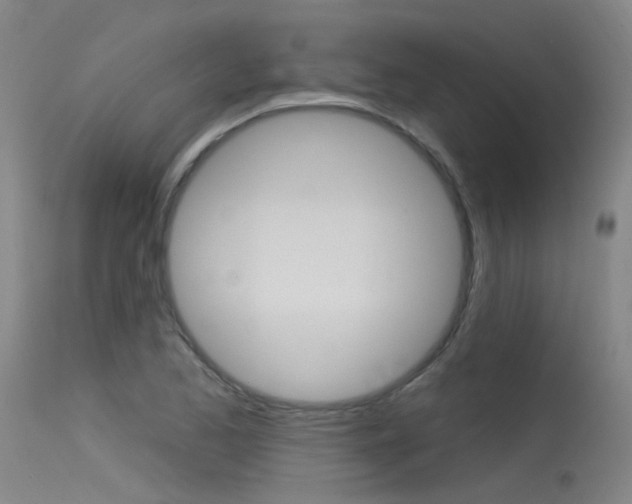 X0000115531173200911061120