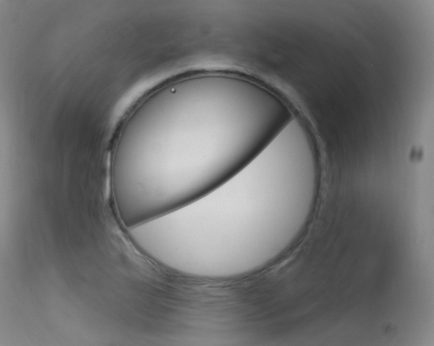 X0000115531175200911061120