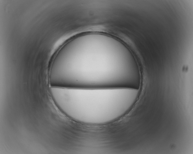 X0000115531176200911061120