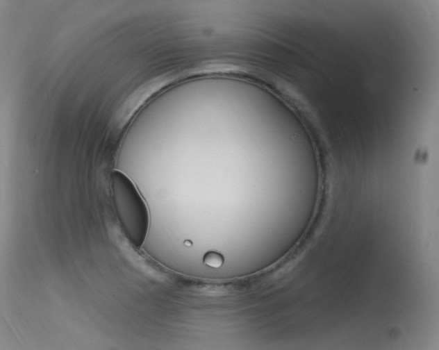 X0000115531177200911061120